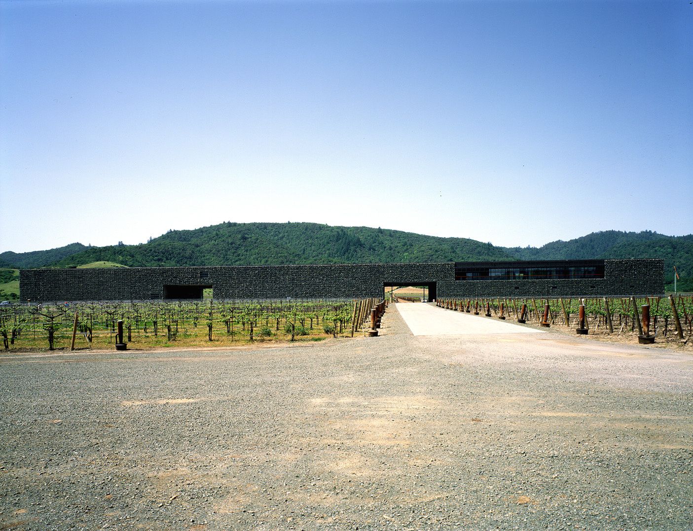 Dominus Winery, Napa Valley, USA by Herzog & de Meuron (Photo: Herzog & de Meuron)