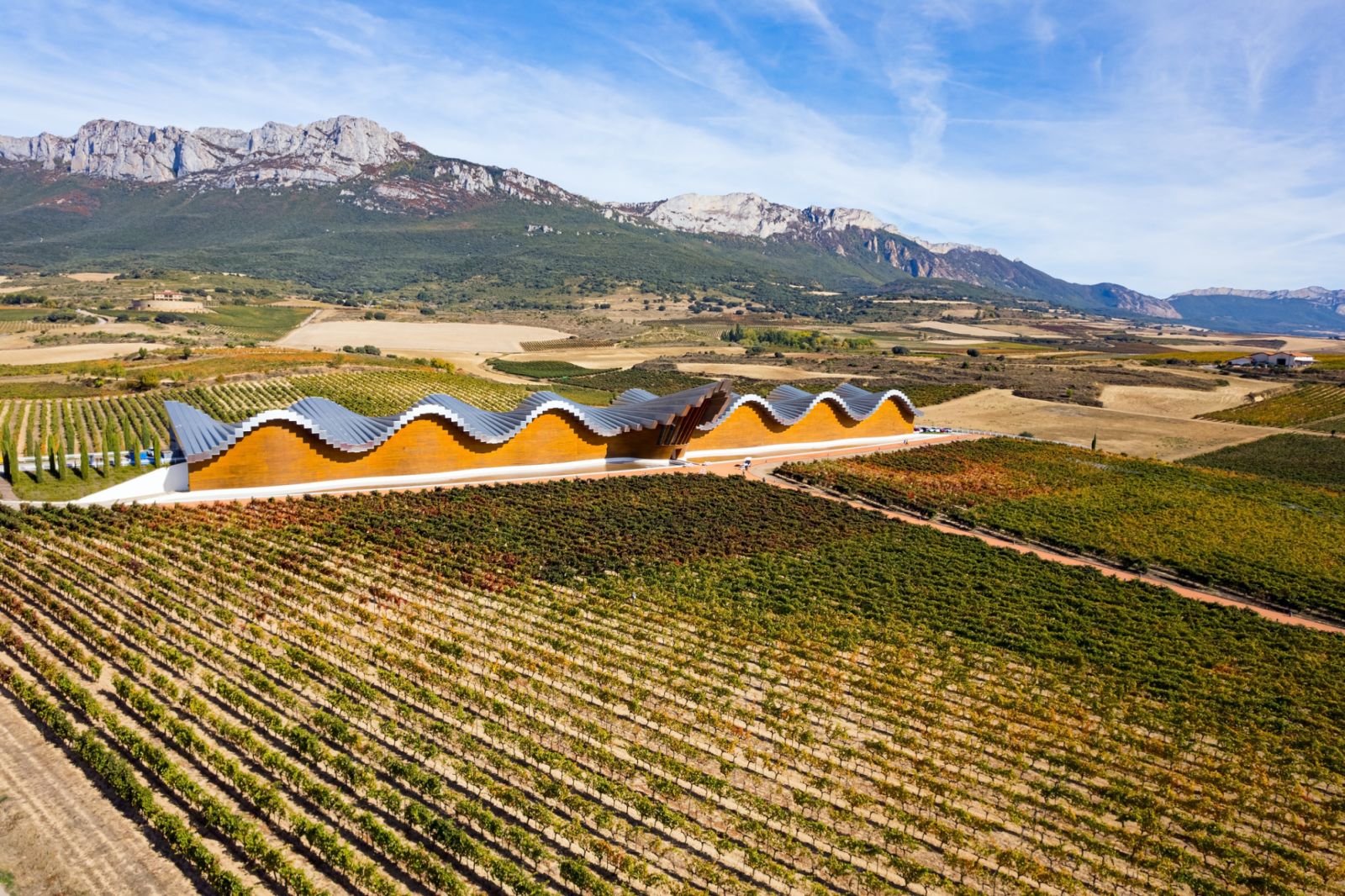 Bodegas Ysios, Spain by Santiago Calatrava (Photo:iStock)