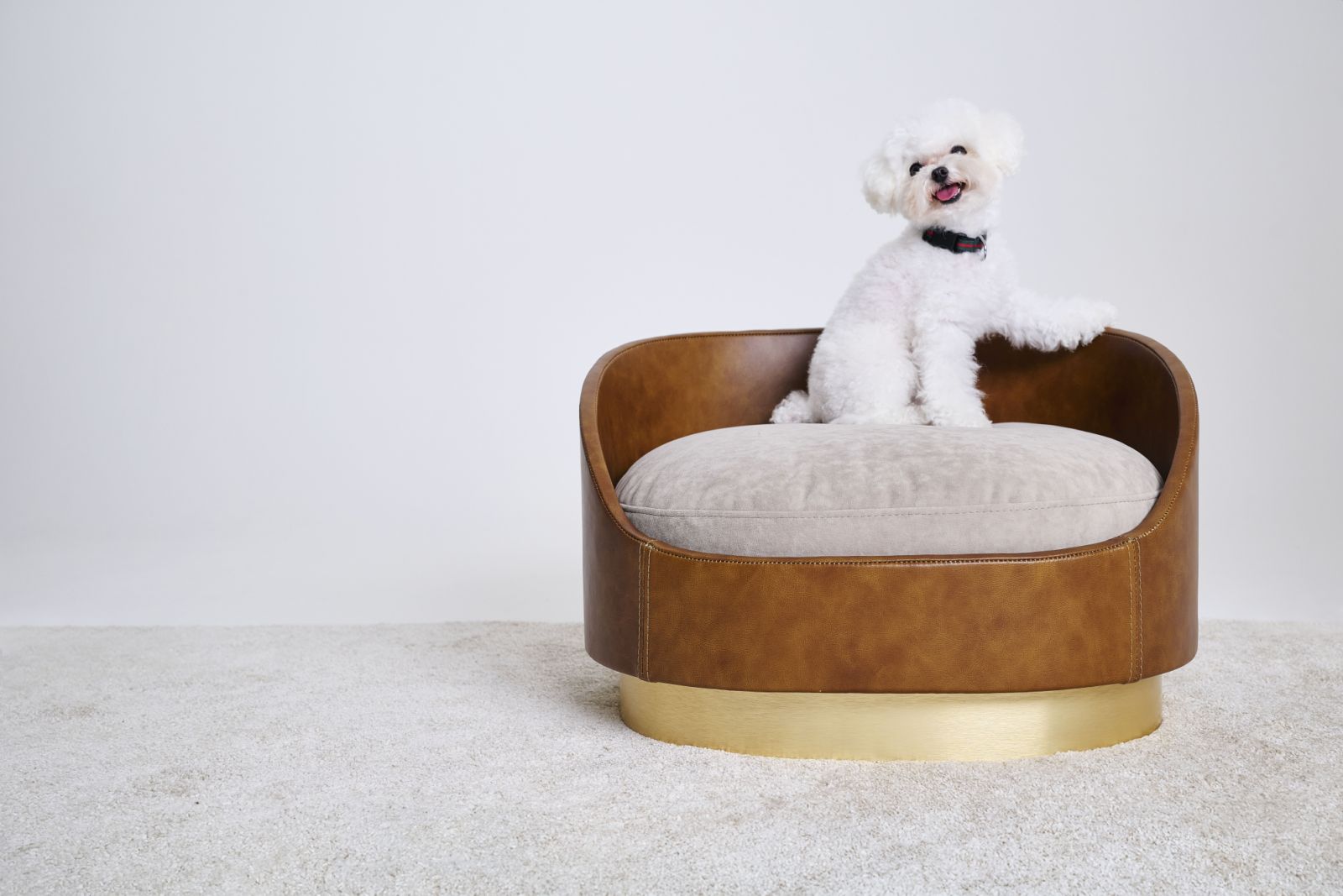 pet bed