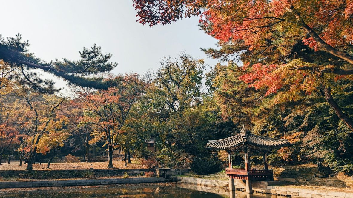fall-travel-asia-cover-1-vn