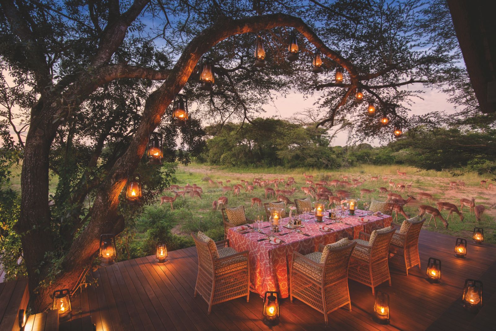 มื้อเย็นยามพระอาทิตย์ตกดินที่ andBeyond Phinda Vlei Lodge