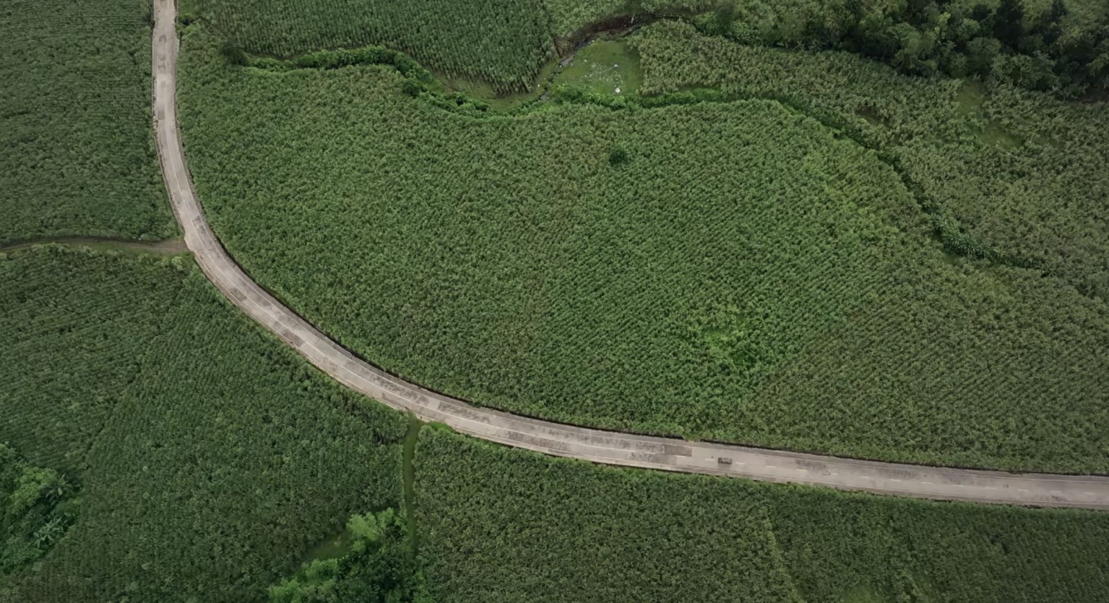 The sugarcane fields surrounding the childhood home of Francis (Photo: Netflix Philippines)