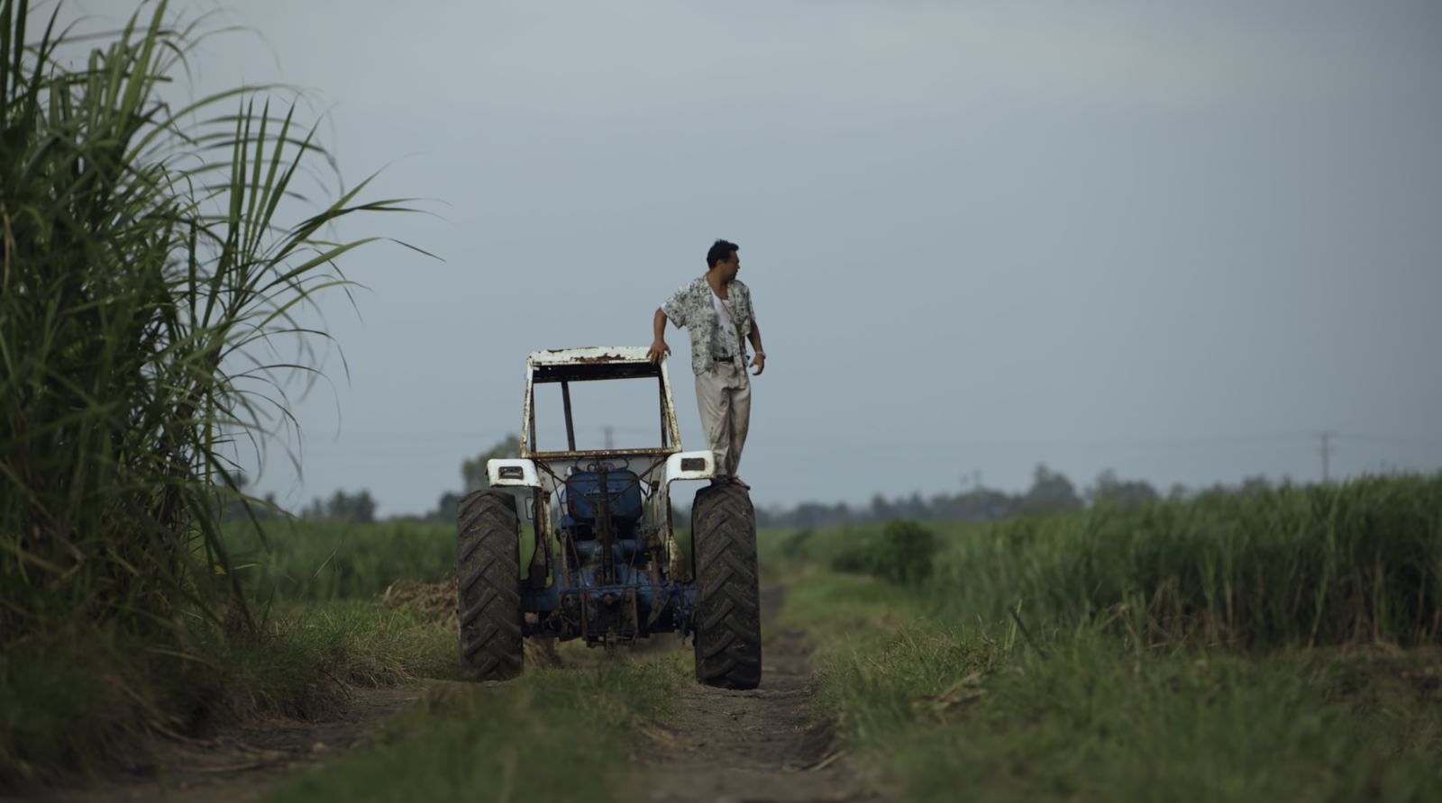 Francis on the lookout (Photo: Netflix Philippines)