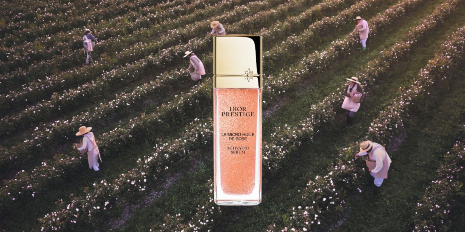 Dior Prestige La Micro-Huile de Rose has a new formula