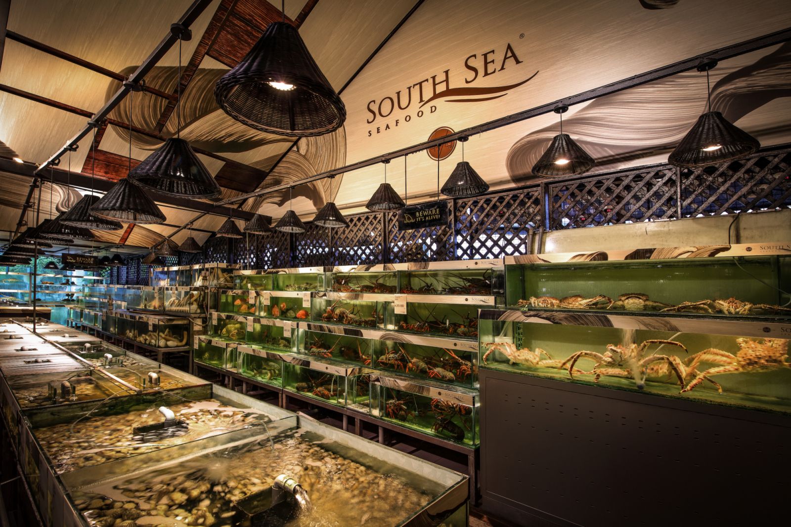 Tanks of live seafood (Photo: South Sea Seafood)