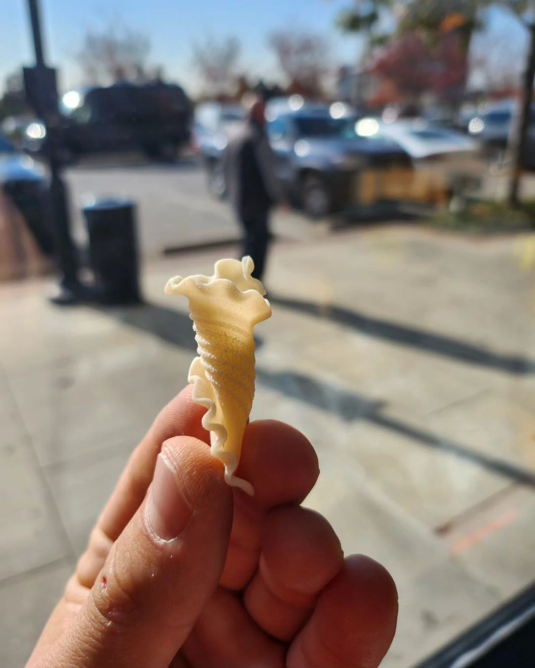 A single campanelle noodle (Photo: Instagram / @dipasquales_italian_market)