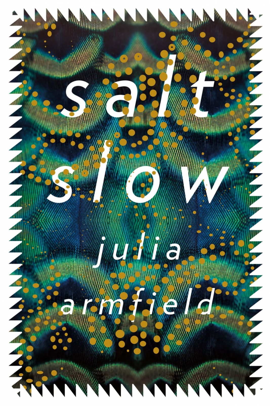 "Salt Slow" by Julia Armfield (Photo: Goodreads)