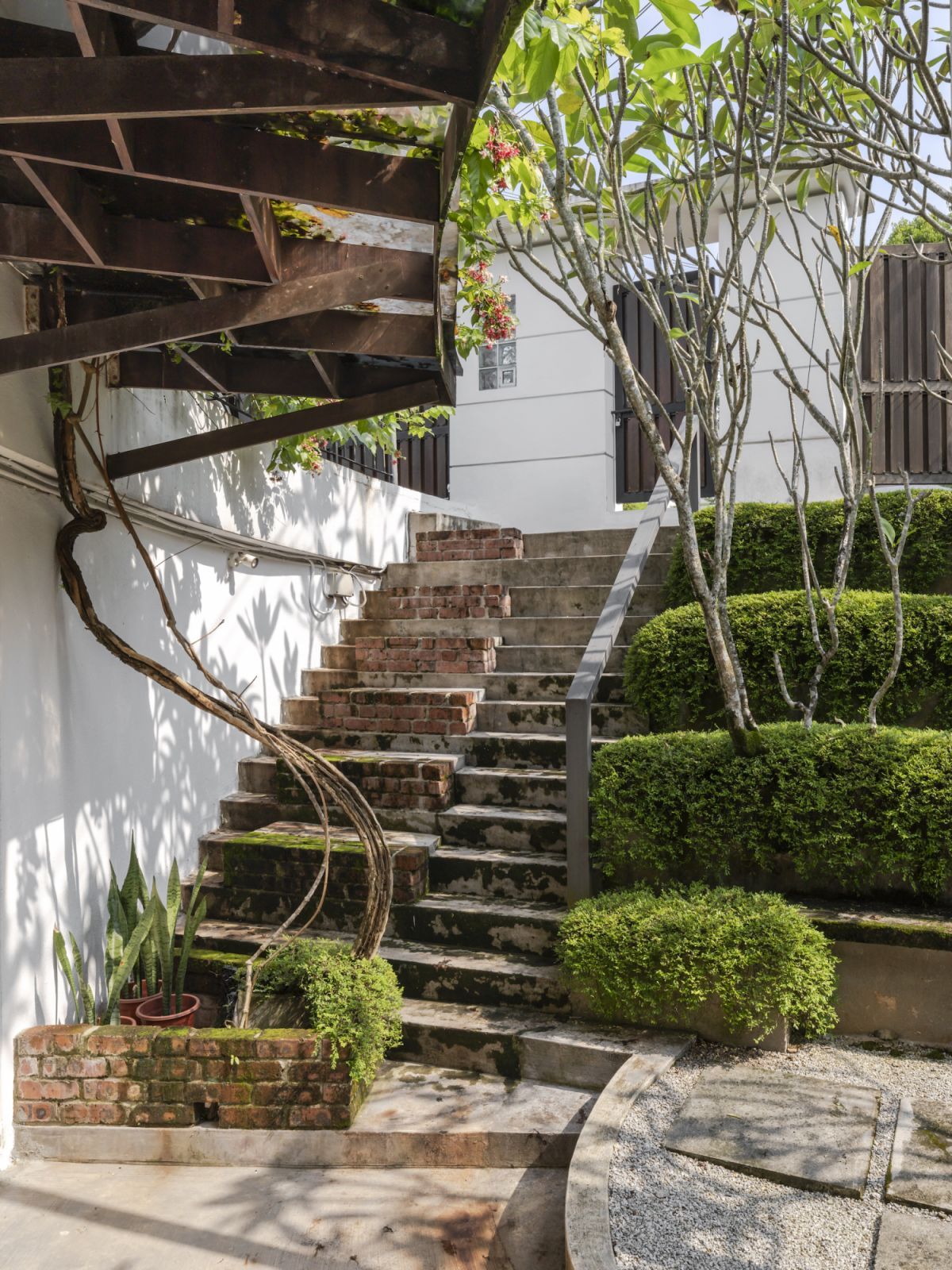 A lush home filled with art and design objects by John Koh Architect (Photo: David Yeow)
