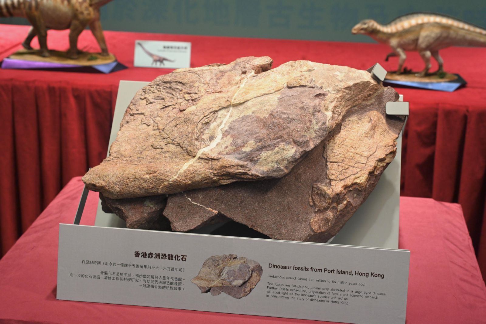 first dinosaur fossils in Hong Kong