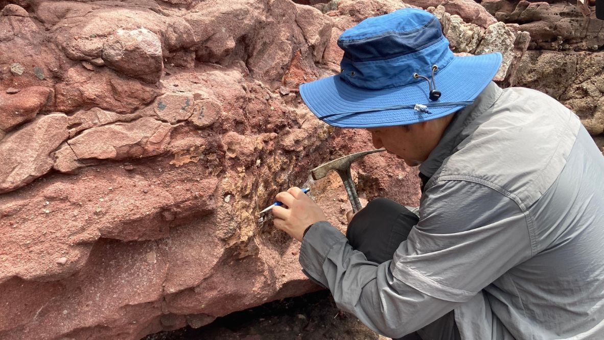 dinosaur fossils HK