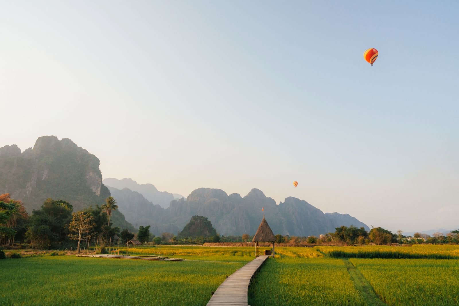 Scenic view of hot air balloon above rice field in Laos (Photo: Getty Images)