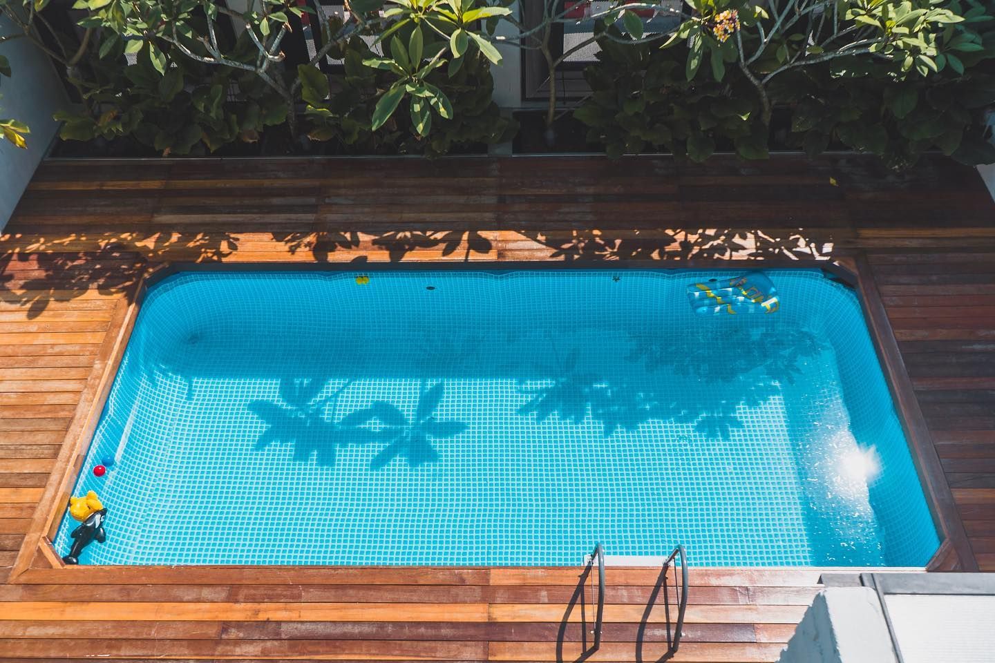 Cocomomo: A dog pool that sparks delight