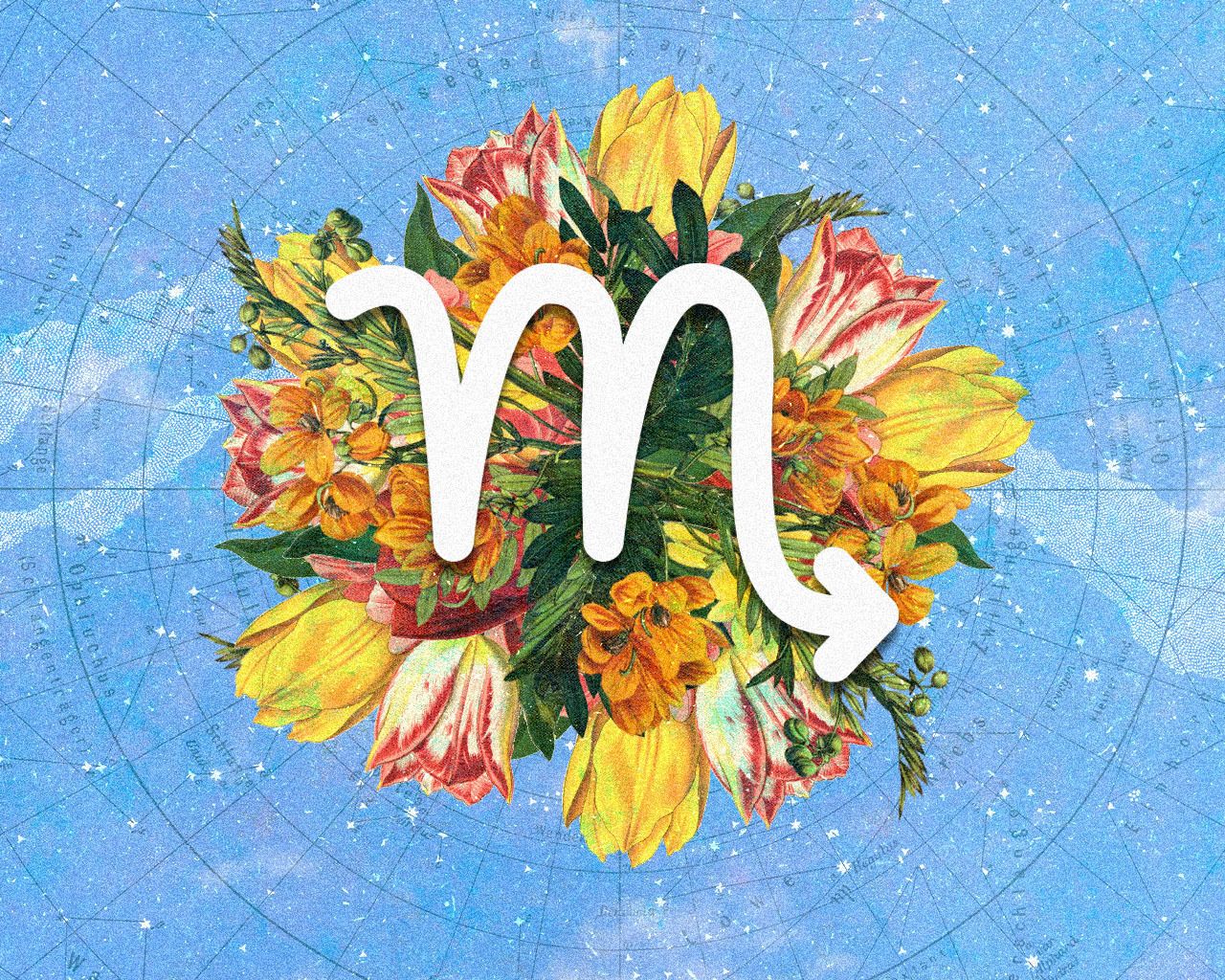 Tatler’s weekly horoscope by Casey Chan