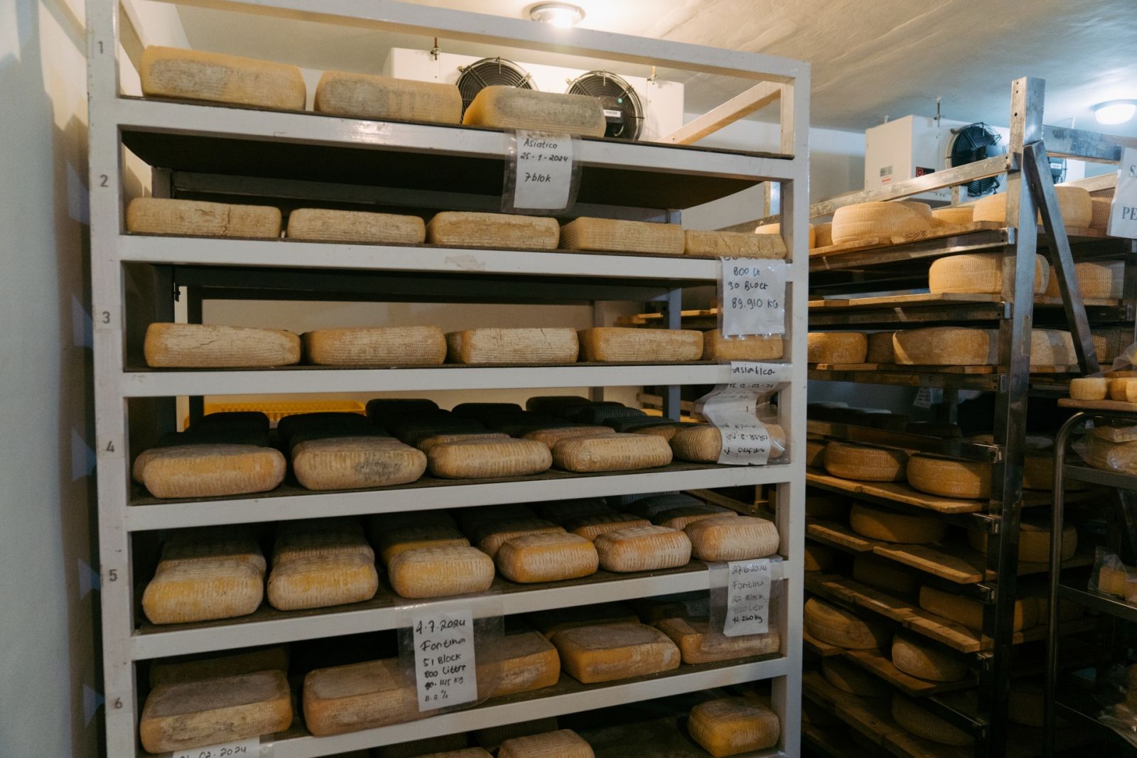 On a Dom Pérignon trip to Bali with Tatler Dining, we visited Gioia Cheese. This is the Gioa cheese room