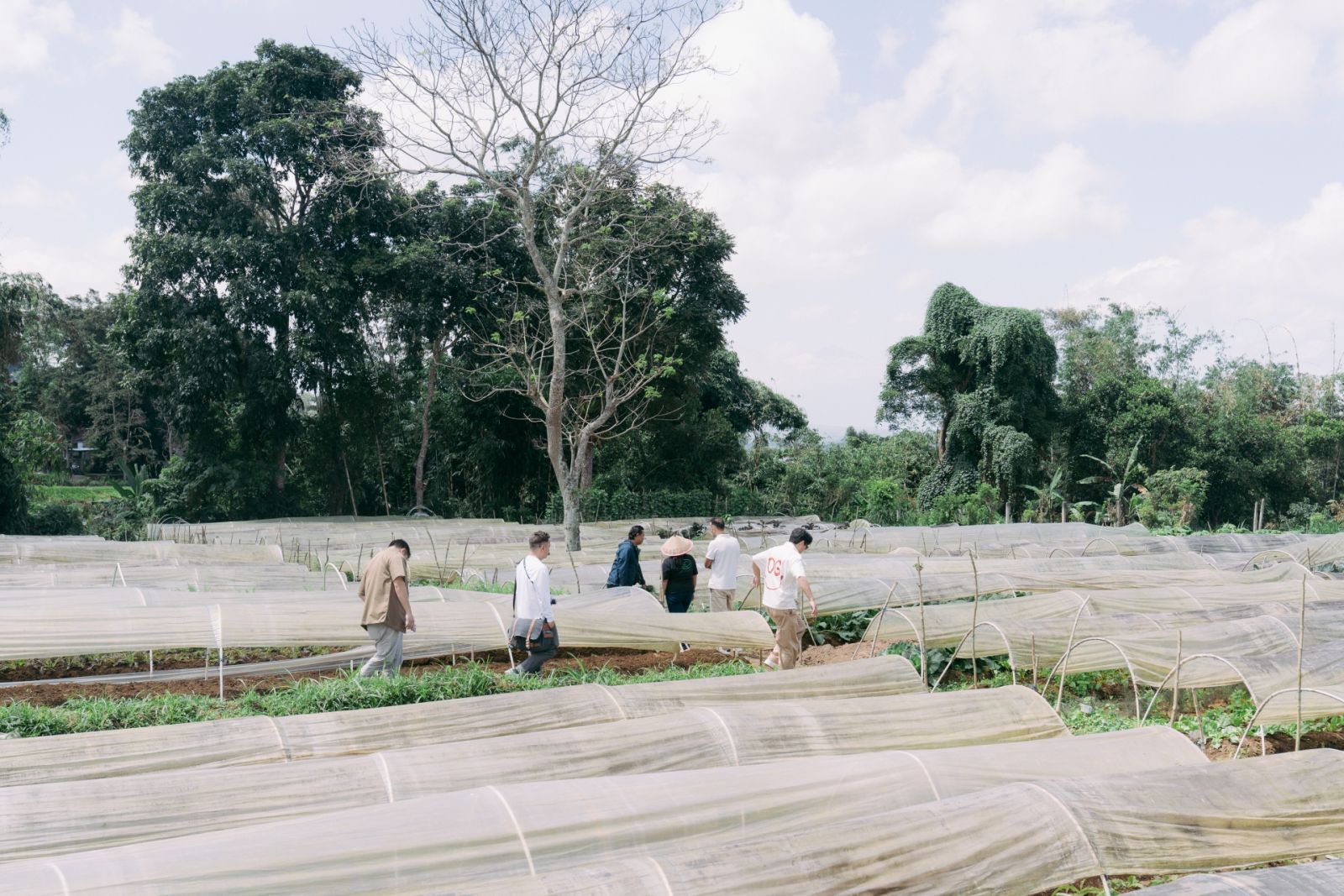 On a Dom Pérignon trip to Bali with Tatler Dining, we visited Island Organics farm