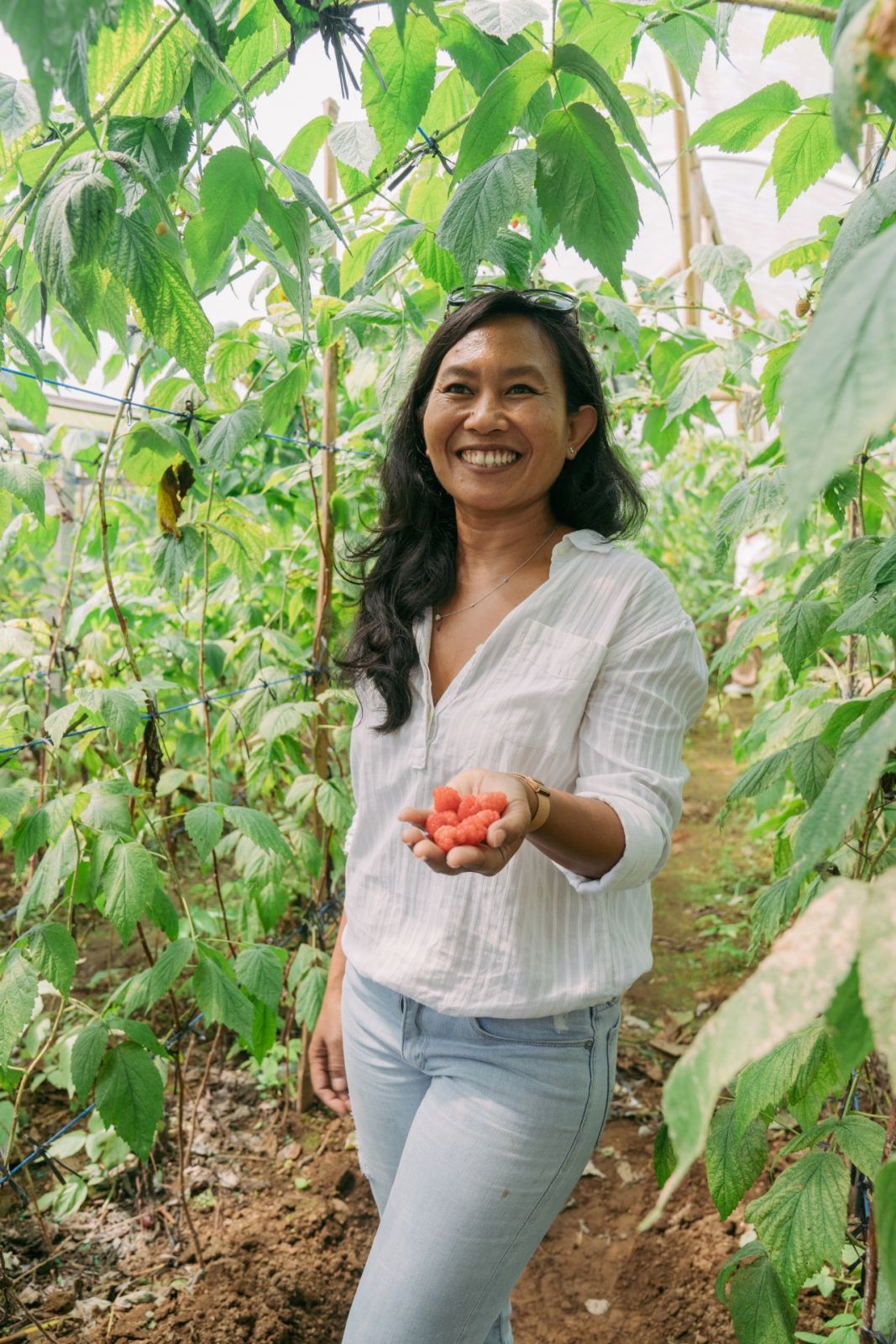 On a Dom Pérignon trip to Bali with Tatler Dining, we visited Bali Raspberry farm