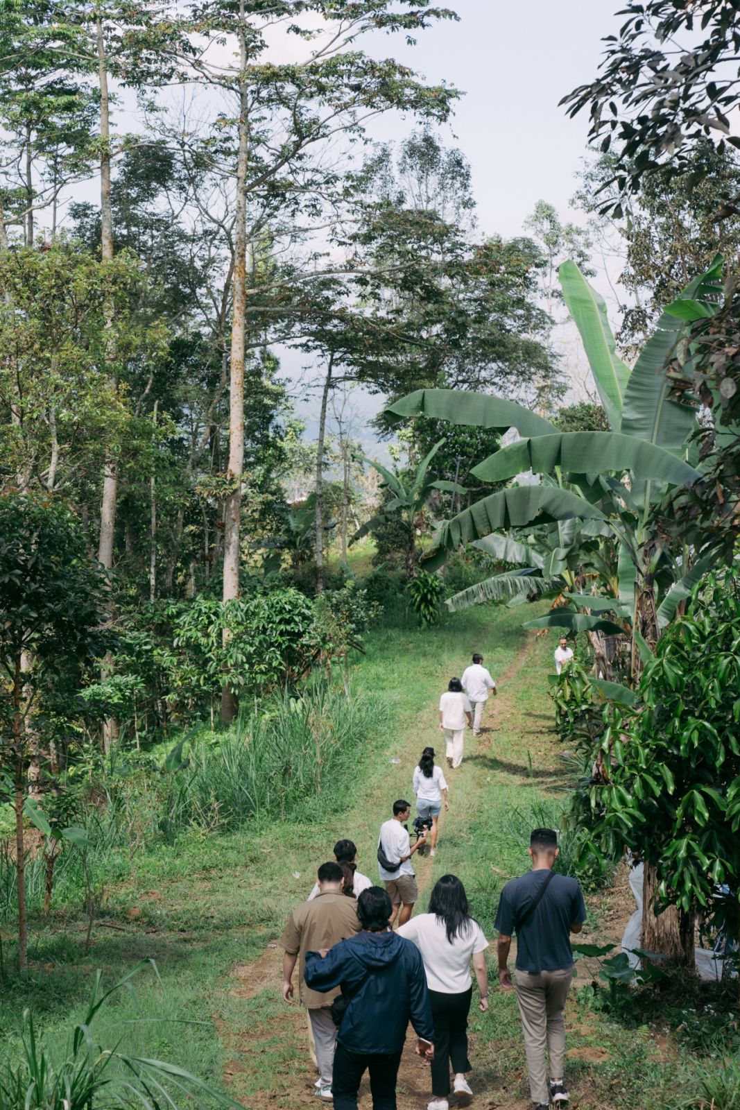 On a Dom Pérignon trip to Bali with Tatler Dining, we visited Island Organics farm