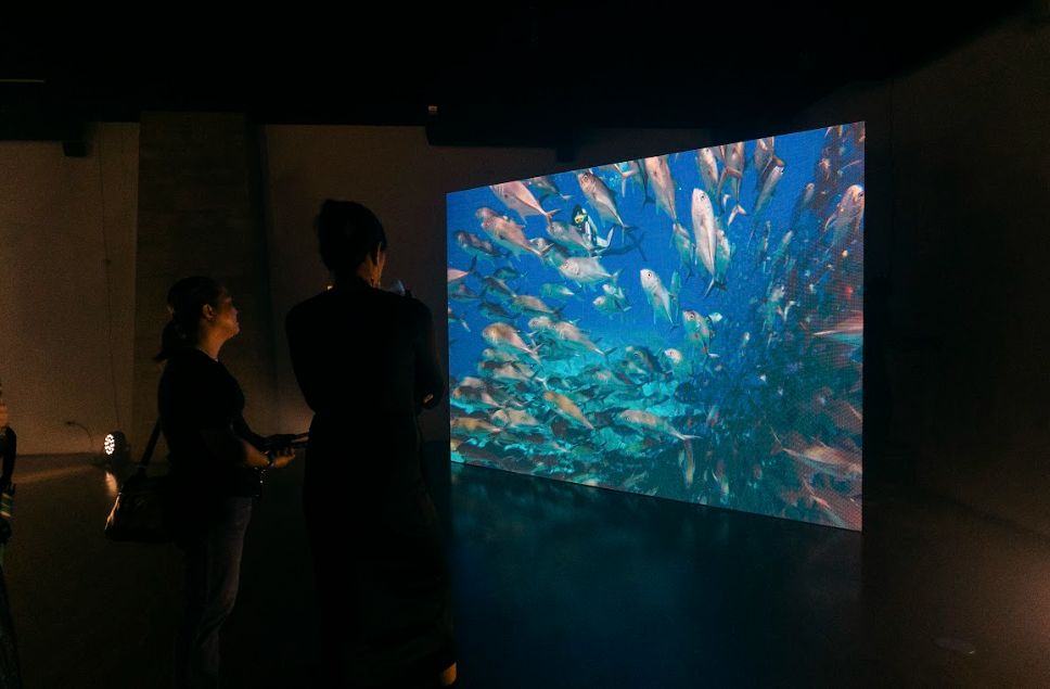 SearchMindscape's Immersive Art underwater photography