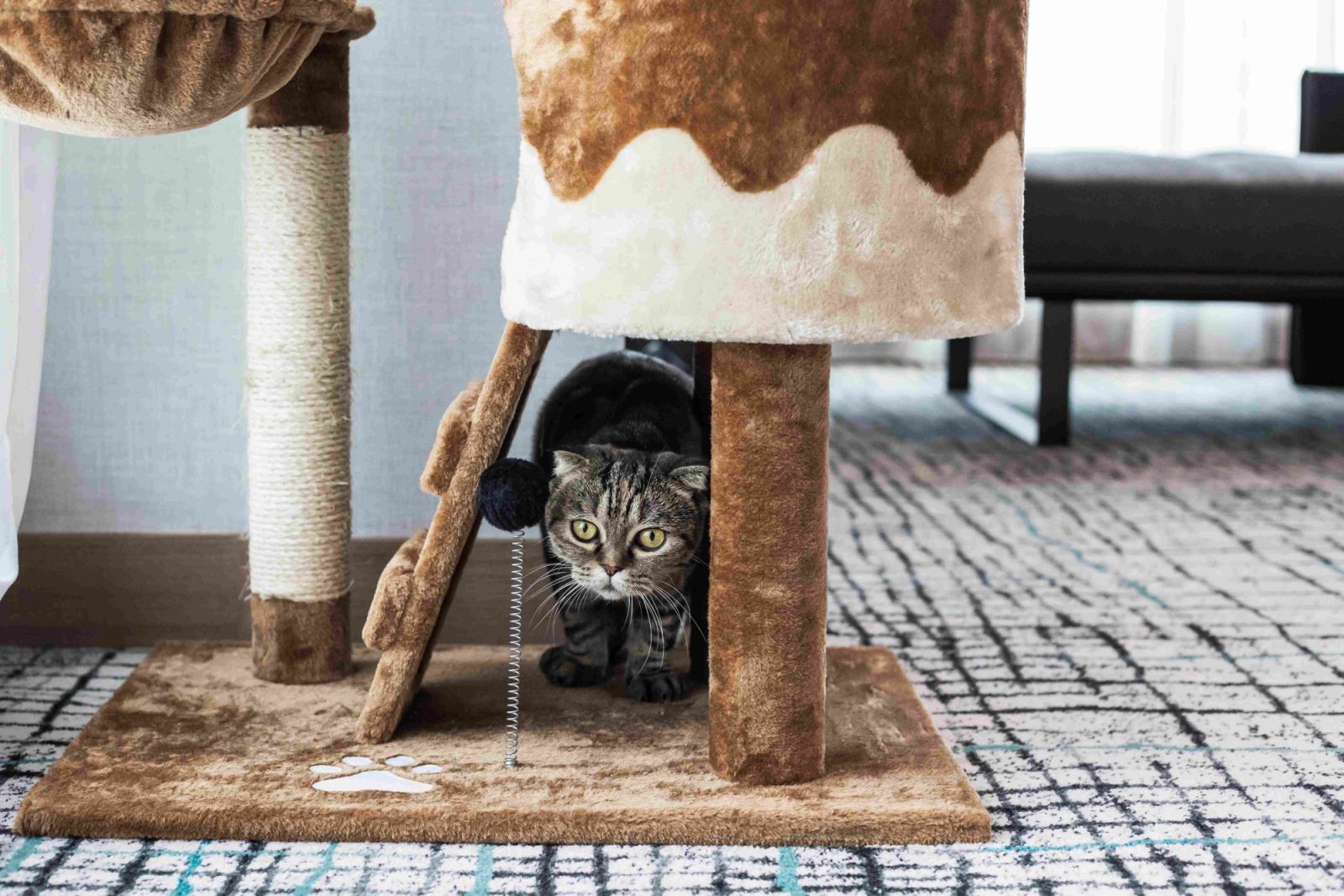 Kimpton Maa-Lai Bangkok โรงแรม Pet-friendly ย่านหลังสวน