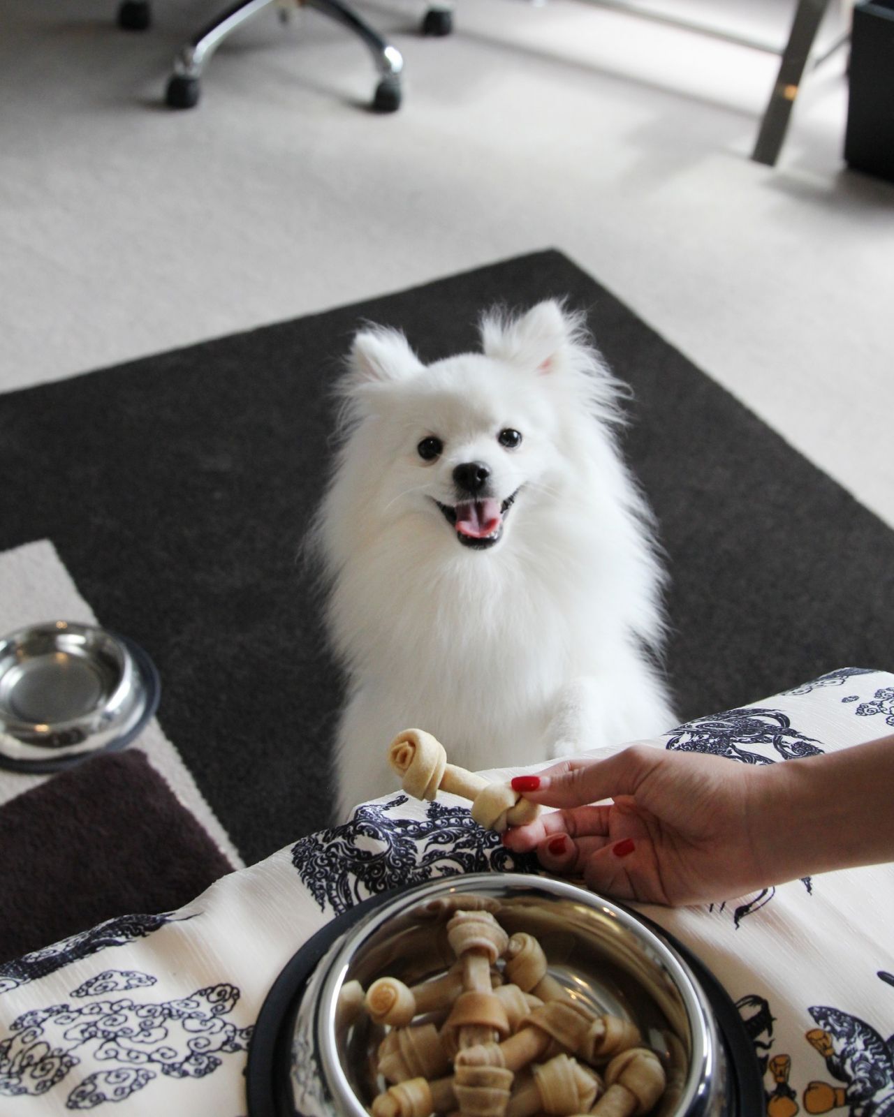 W Bangkok โรงแรม Pet-friendly ใจกลางเมือง