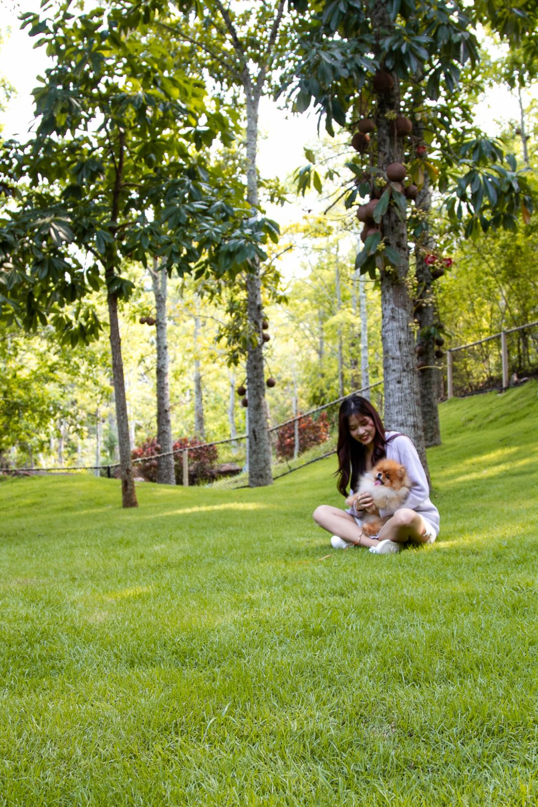 InterContinental Khao Yai Resort รีสอร์ต Pet-friendly ในเขาใหญ่