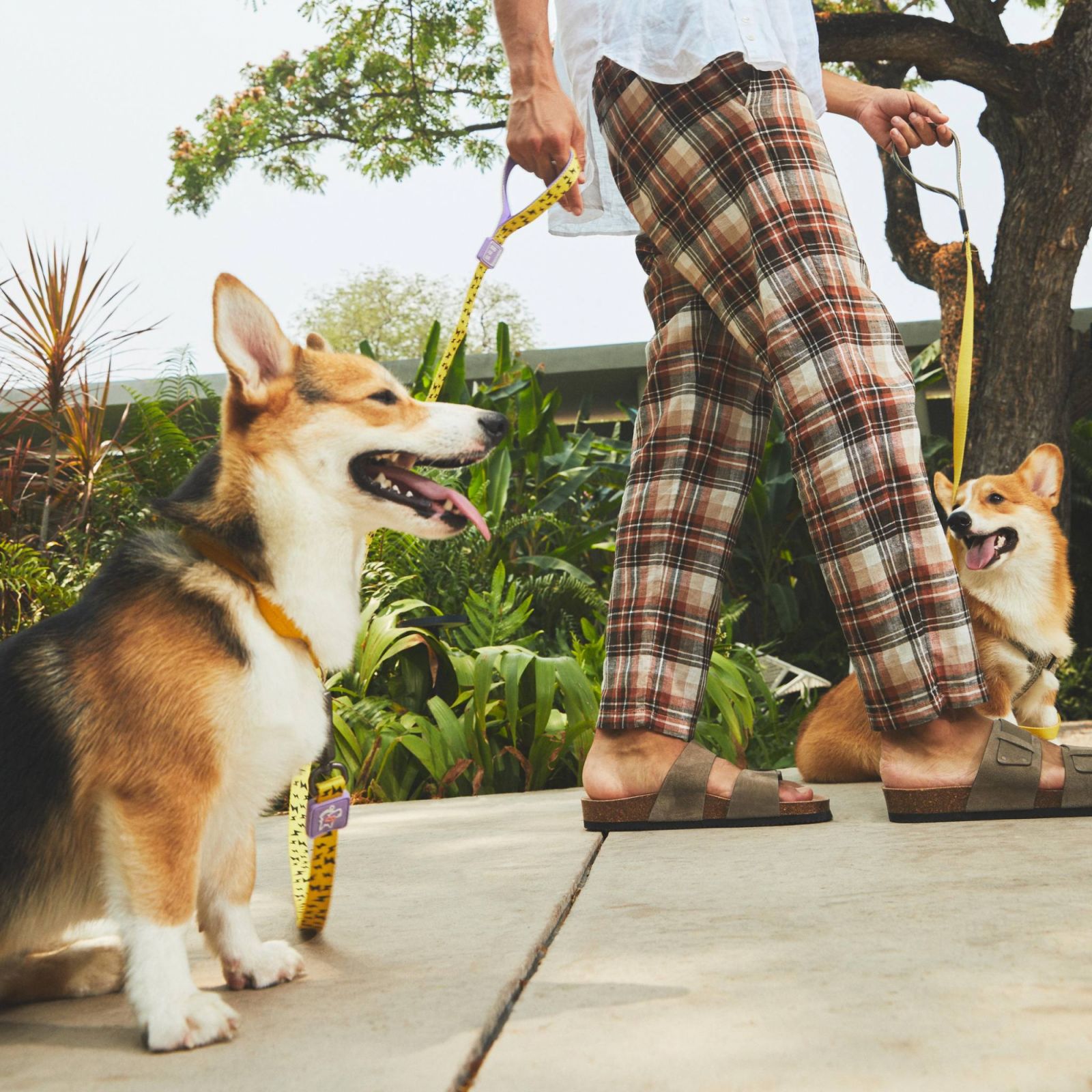 The Standard Hua Hin โรงแรม Pet-friendly สุดคูลบนหาดหัวหิน