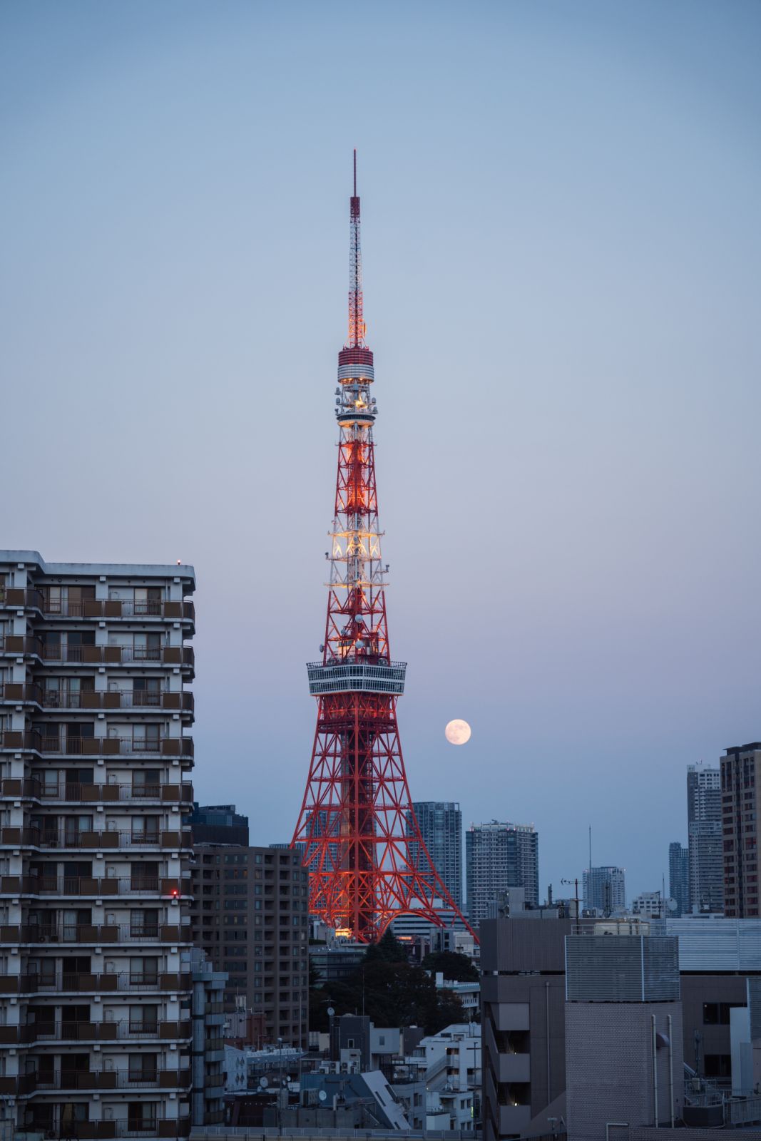 View of Tokyo tower at Tokyo Confidential