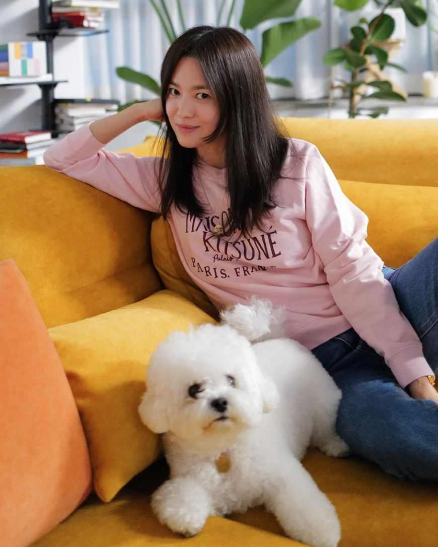 Song Hye-kyo with her beloved bichon frise, Ruby (Photo: Instagram / @kyo1122)