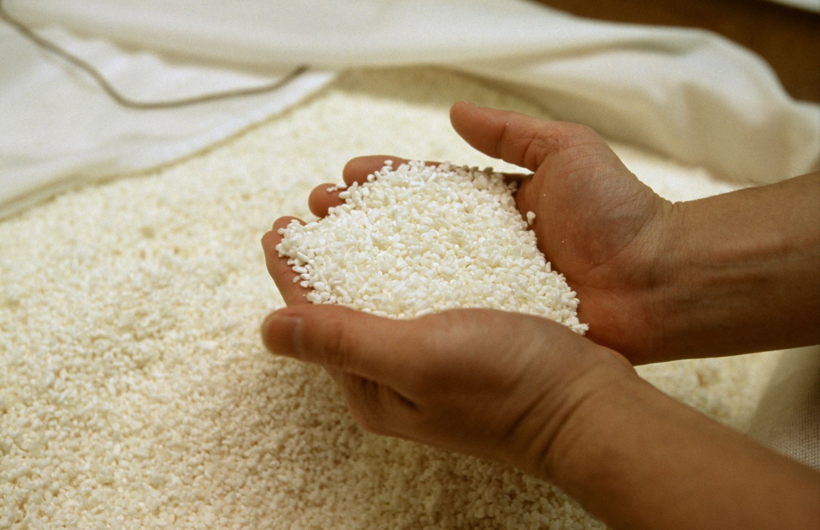 Koji
