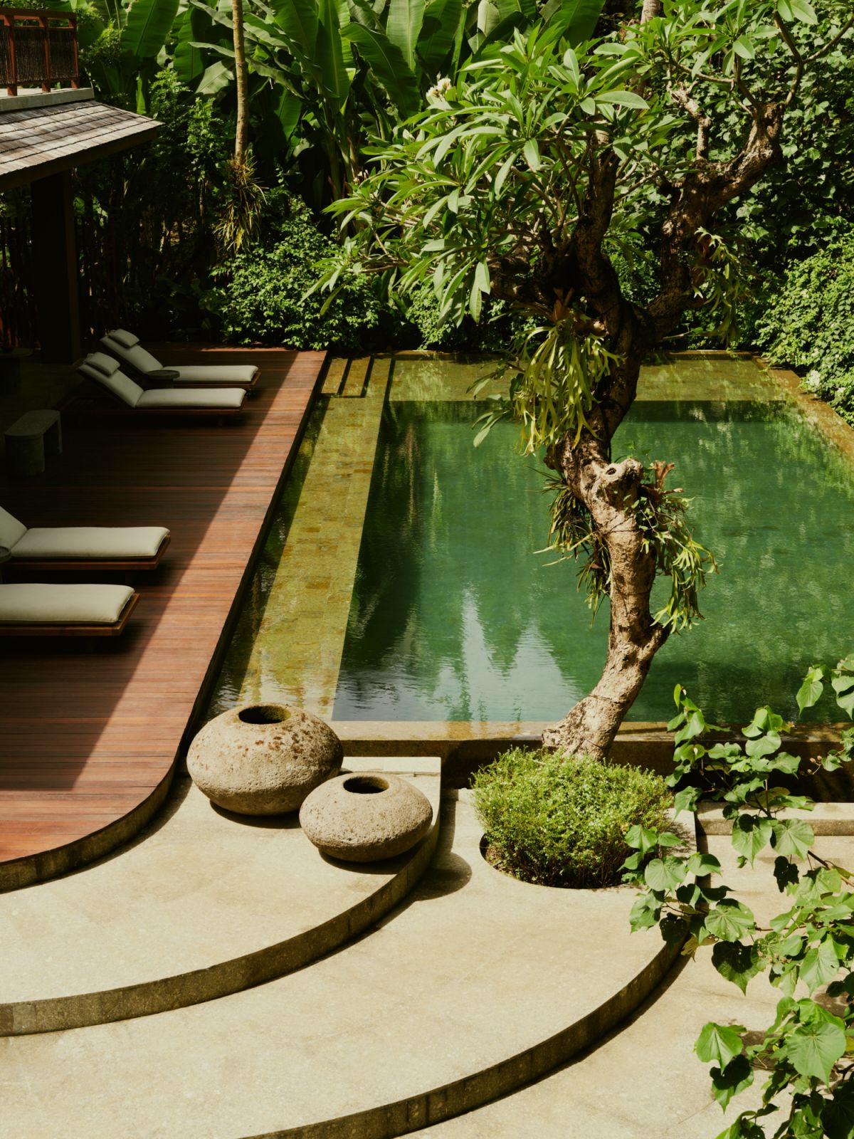 Jungle pool at Lost Lindenberg