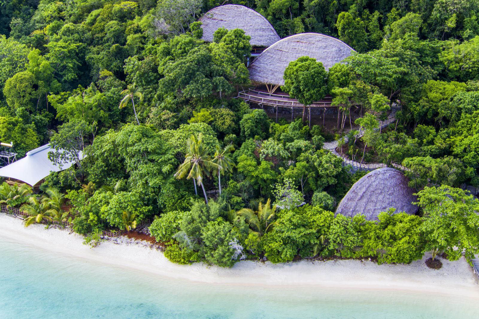 Aerial view of grouper treetops at Bawah Reserve