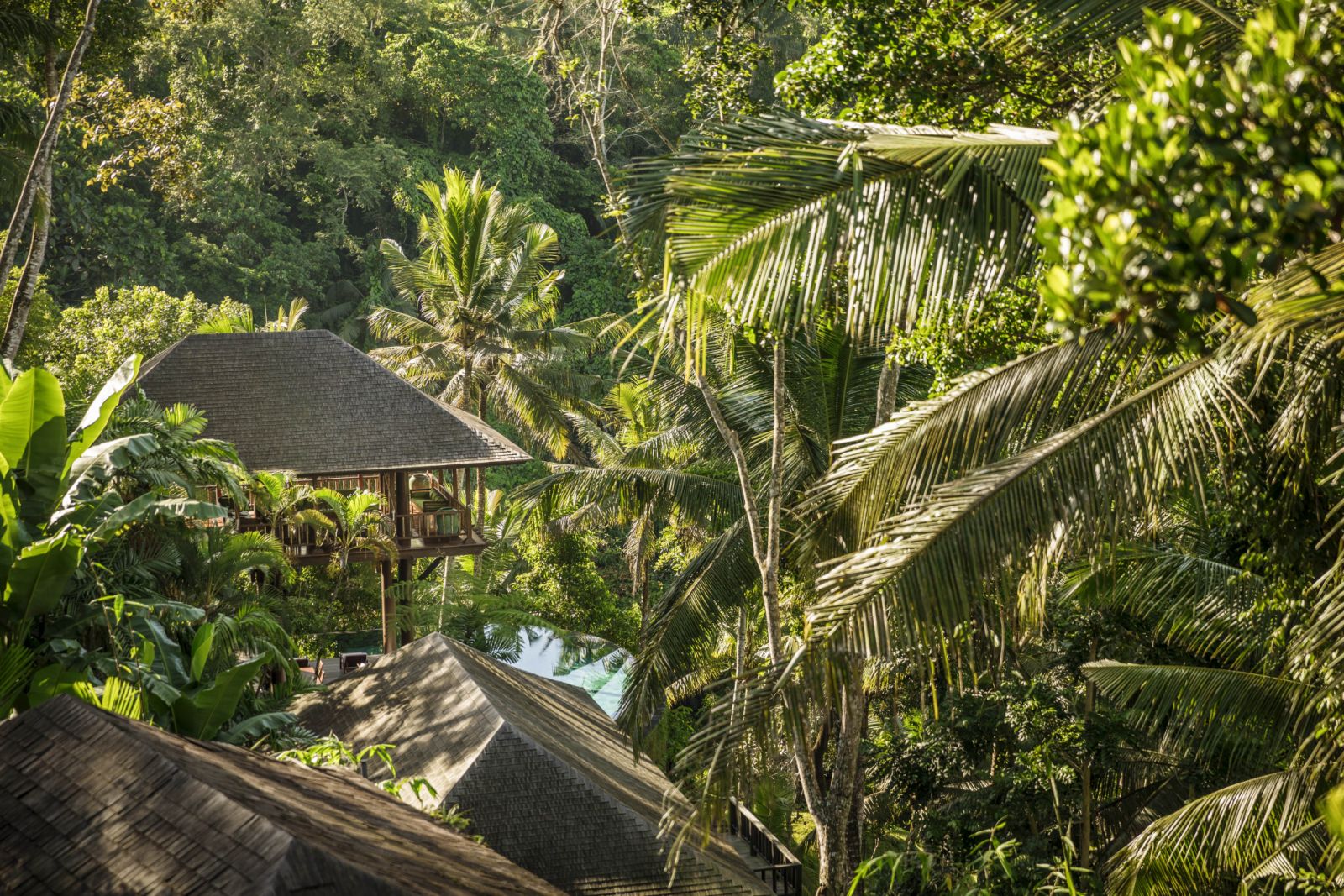 Wanakasa residence jungle view at Como Shambhala estate