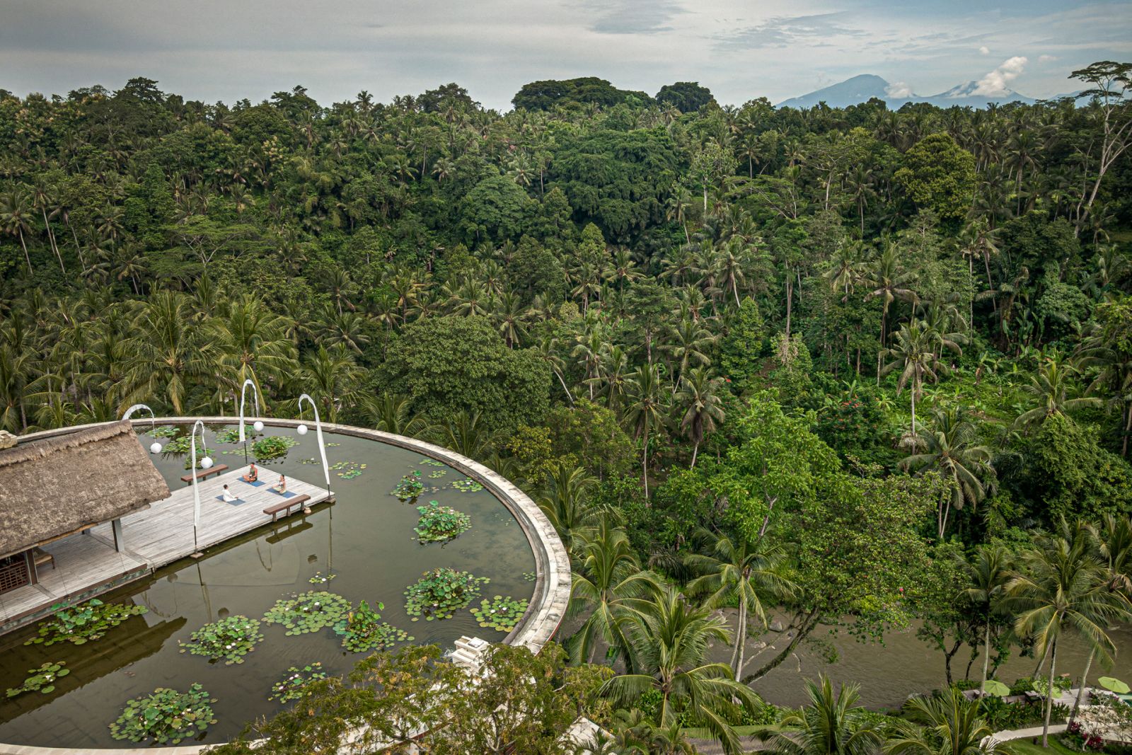 Infinity-edge rooftop lotus pond at Four Seasons Resort Bali at Sayan