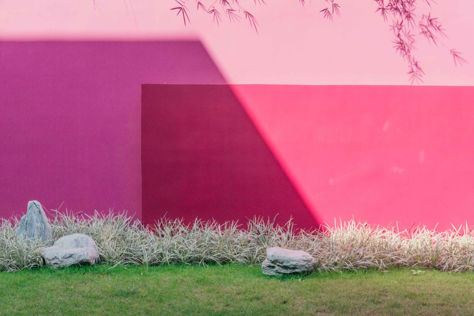 An unexpectedly whimsical pink wall in a homeowner's garden