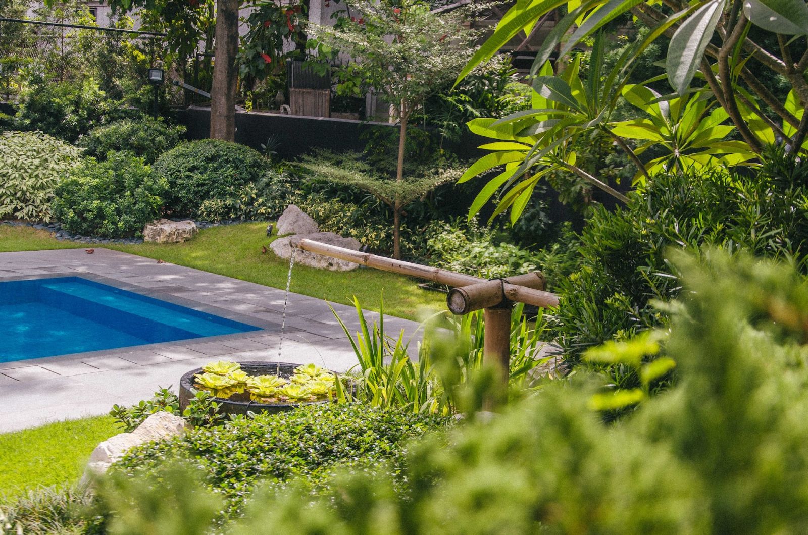 A glimpse of a serene Japanese-inspired garden featuring Hello, Hortus' landscape design