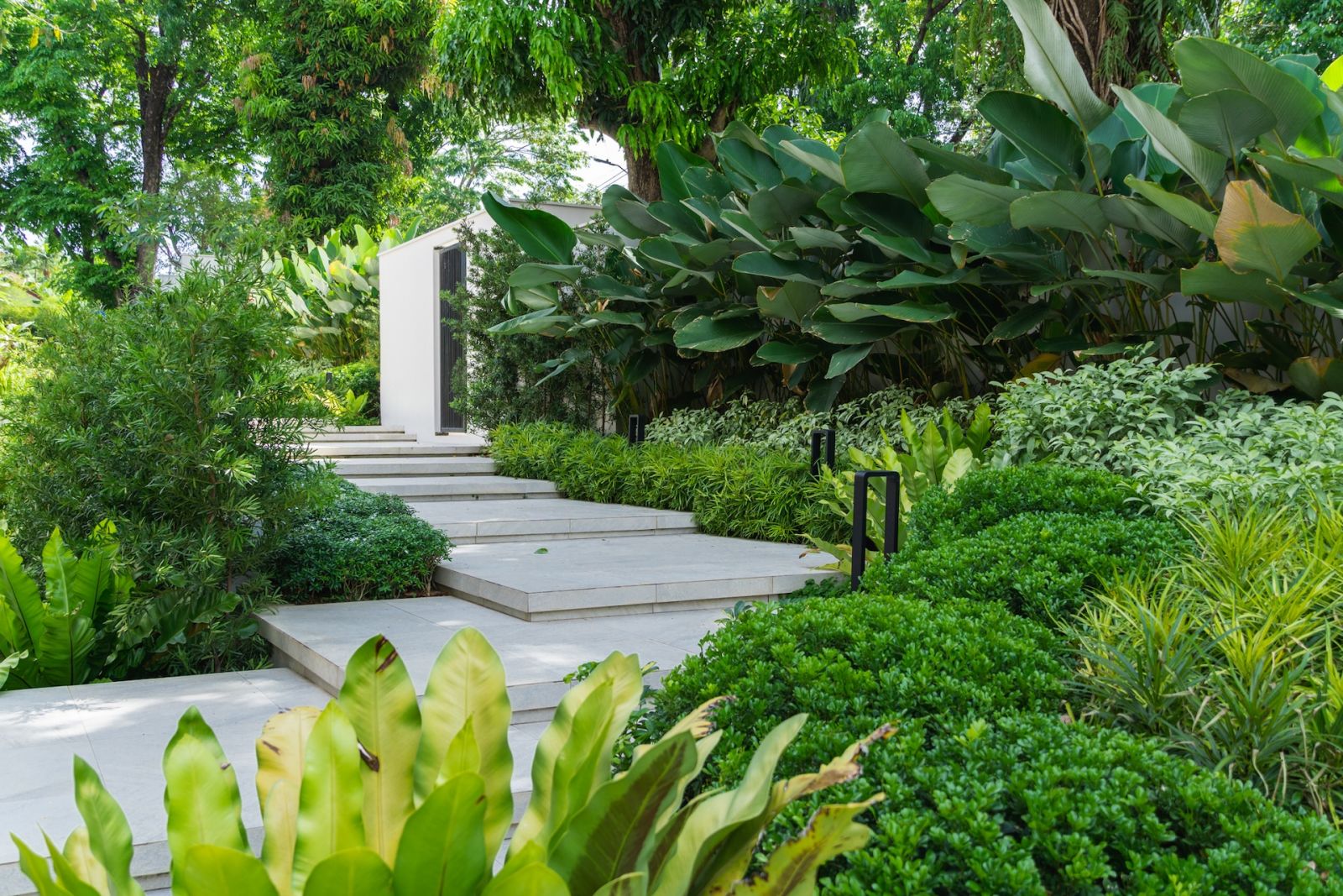 A glimpse of the verdant landscape of Casas La Vista