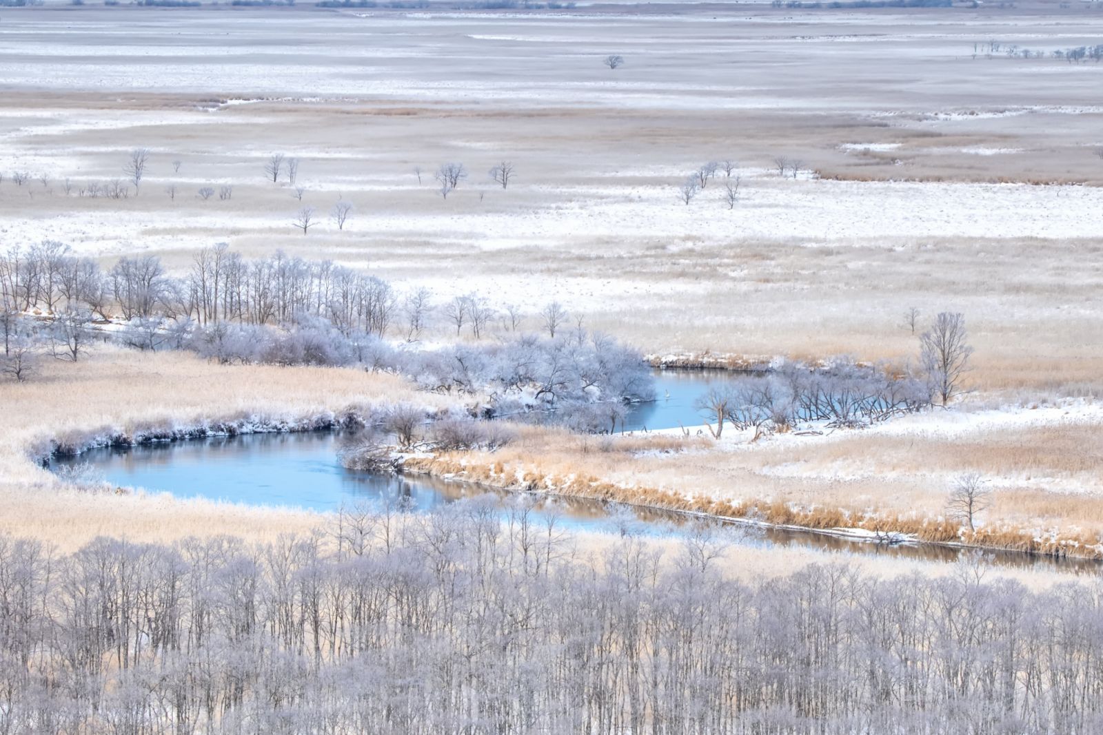 Kushiro Shitsugen National Park