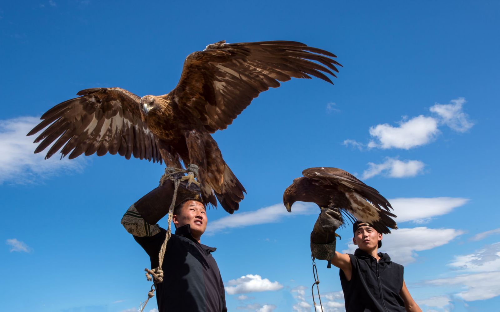 Eagles at Genghis Khan Retreat