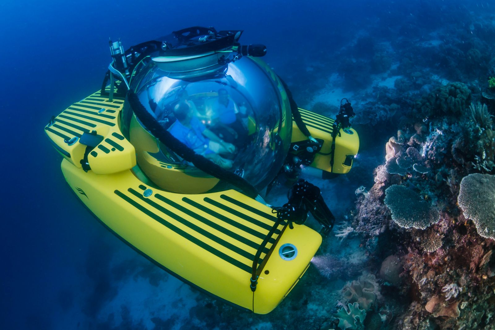 An OceanX exploration trip in Raja Ampat, Indonesia in 2014 (Photo: OceanX)