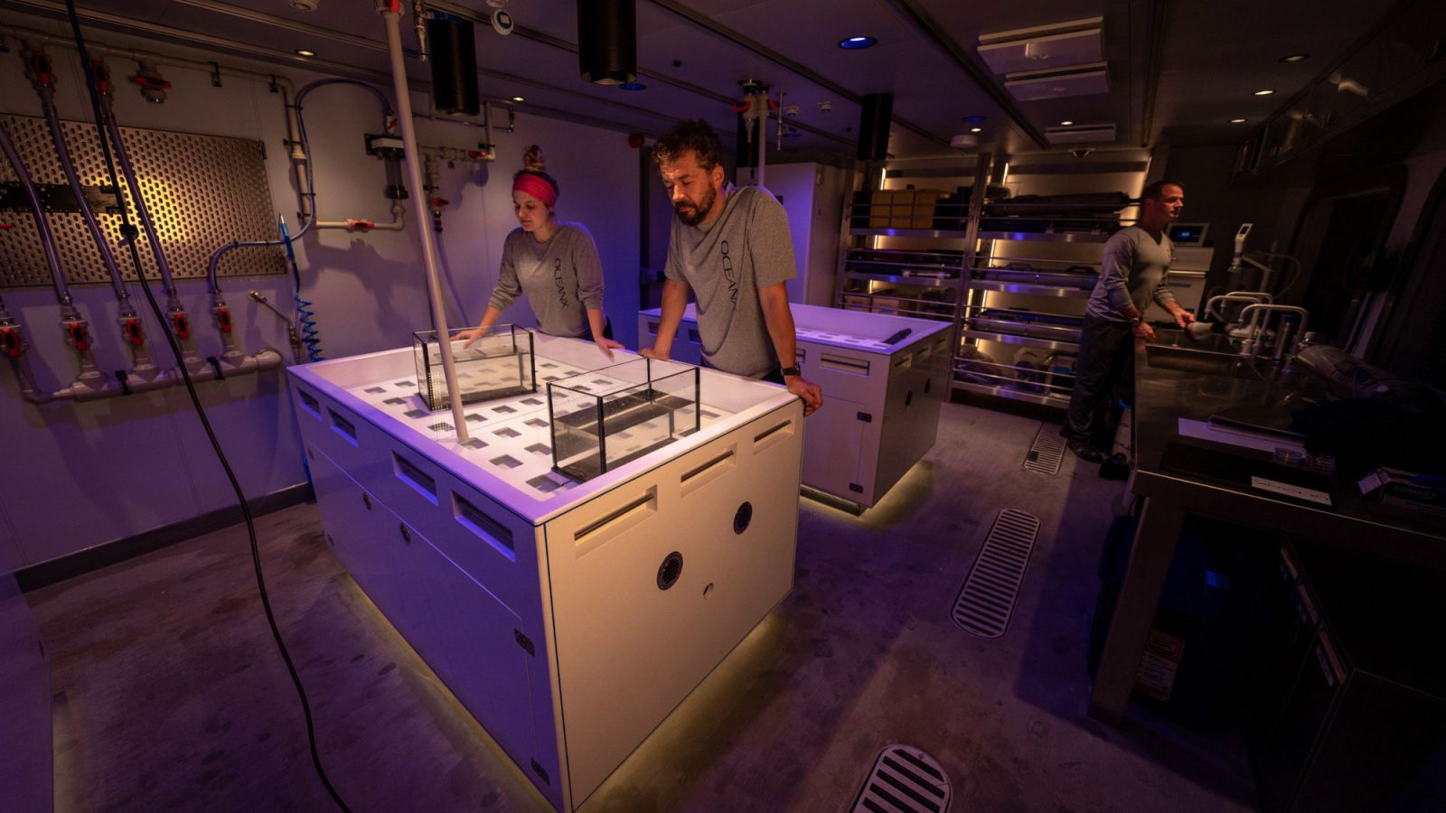 A wet lab onboard the ‘OceanXplorer’ (Photo: OceanX)