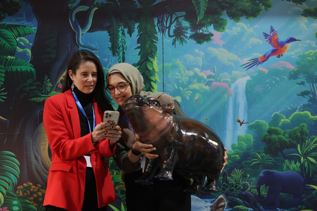 BAKU, AZERBAIJAN - NOVEMBER 13: A participant looks at a photo of herself with an effigy of Moo Deng, the celebrated Thailand pygmy hippopotamus, in front of a mural celebrating biodiversity at the Thailand Pavilion on day three at the UNFCCC COP29 Climate Conference on November 13, 2024 in Baku, Azerbaijan. The COP29, which is running from November 11 through 22, is bringing together stakeholders, including international heads of state and other leaders, scientists, environmentalists, indigenous peoples re