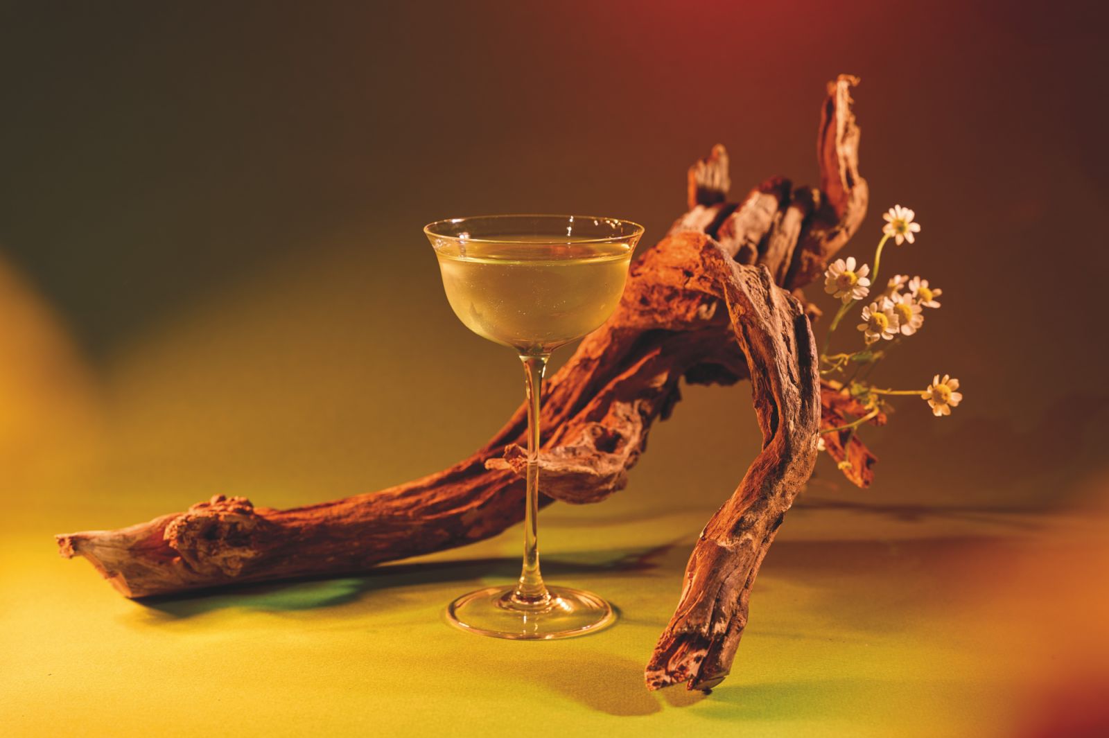 Drink at Bar Mood