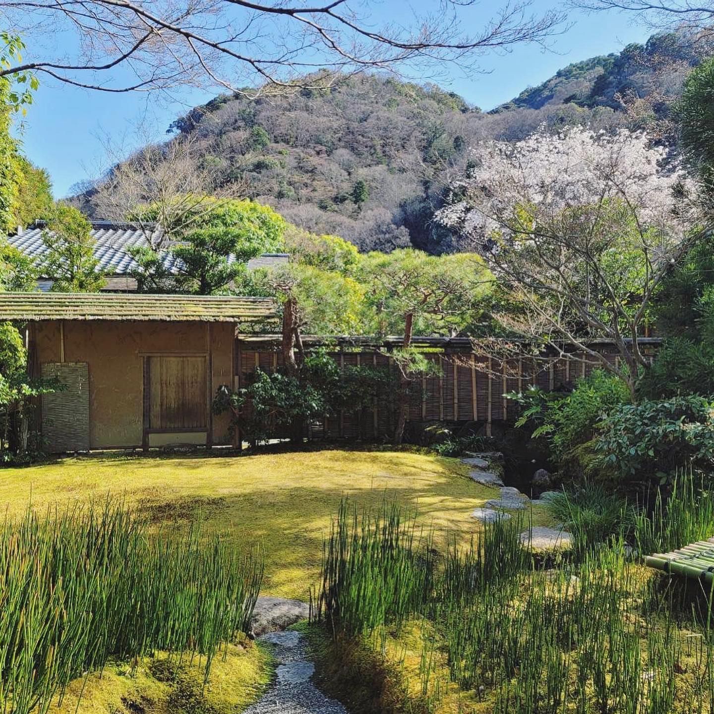 Kyoto Kitcho Arashiyama