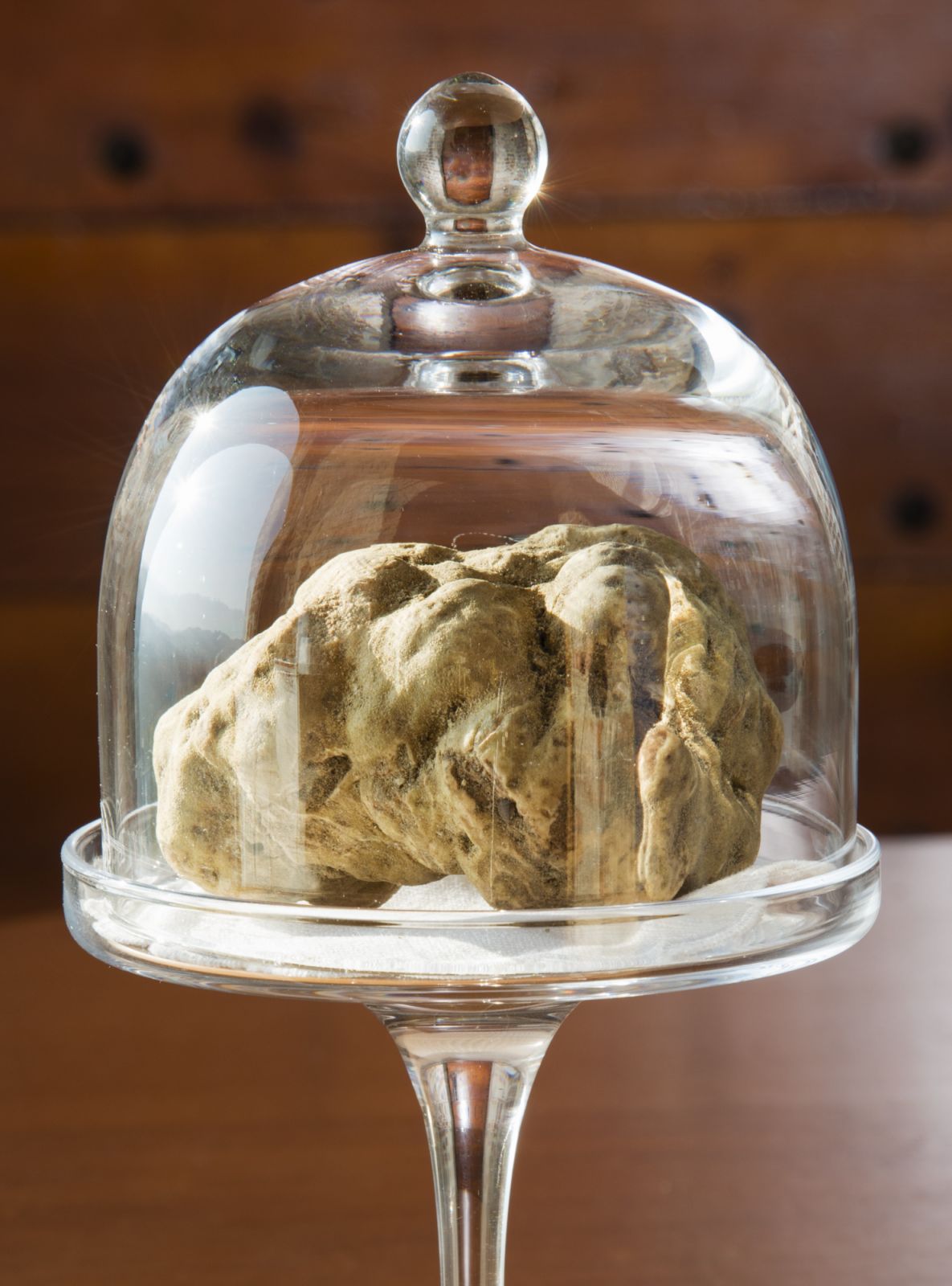 White truffle from Langhe Alba in Piedmont Italy
