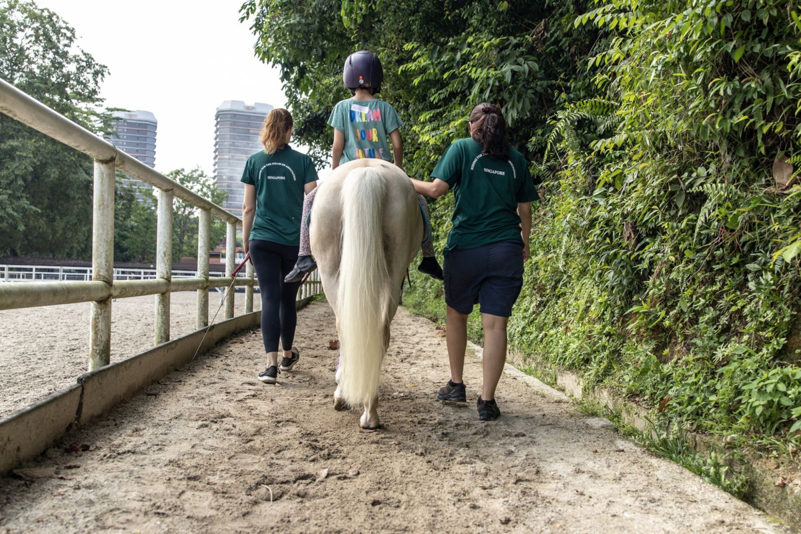 The RDA Singapore is the country’s only charity to provide equine-assisted therapeutic sessions free of charge (Photo: Facebook/ RDA Singapore Official)