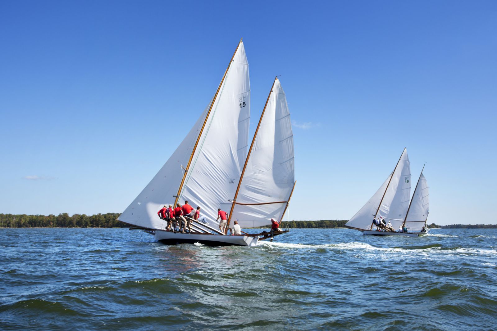 Chesapeake Bay Historic Log Canoes, Eastern Shore, Maryland