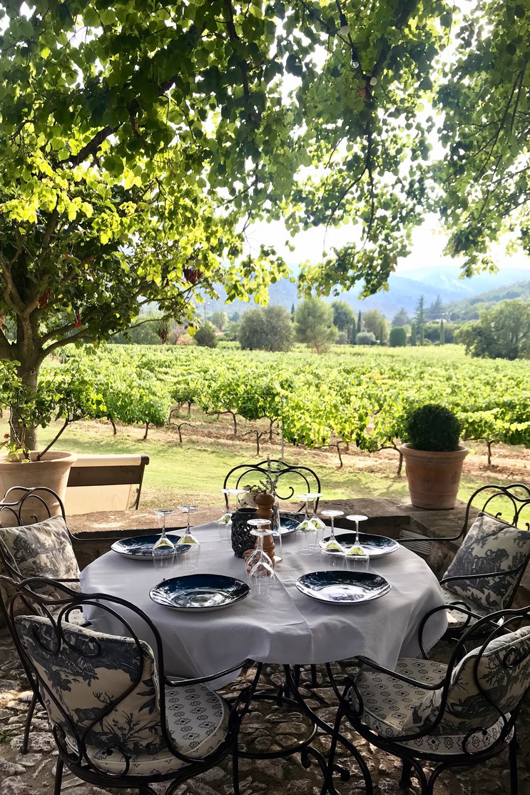 A tablescape with views of bountiful nature in Provence