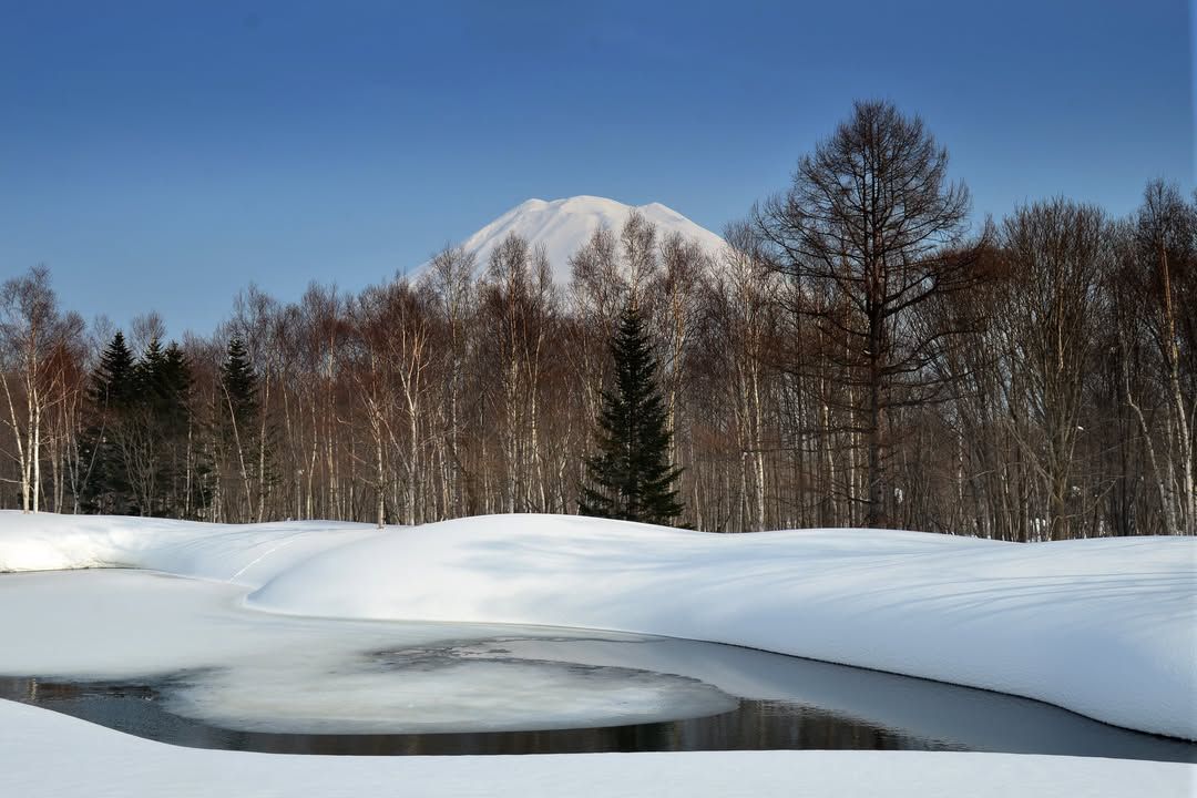 Silent Auction: Niseko Village