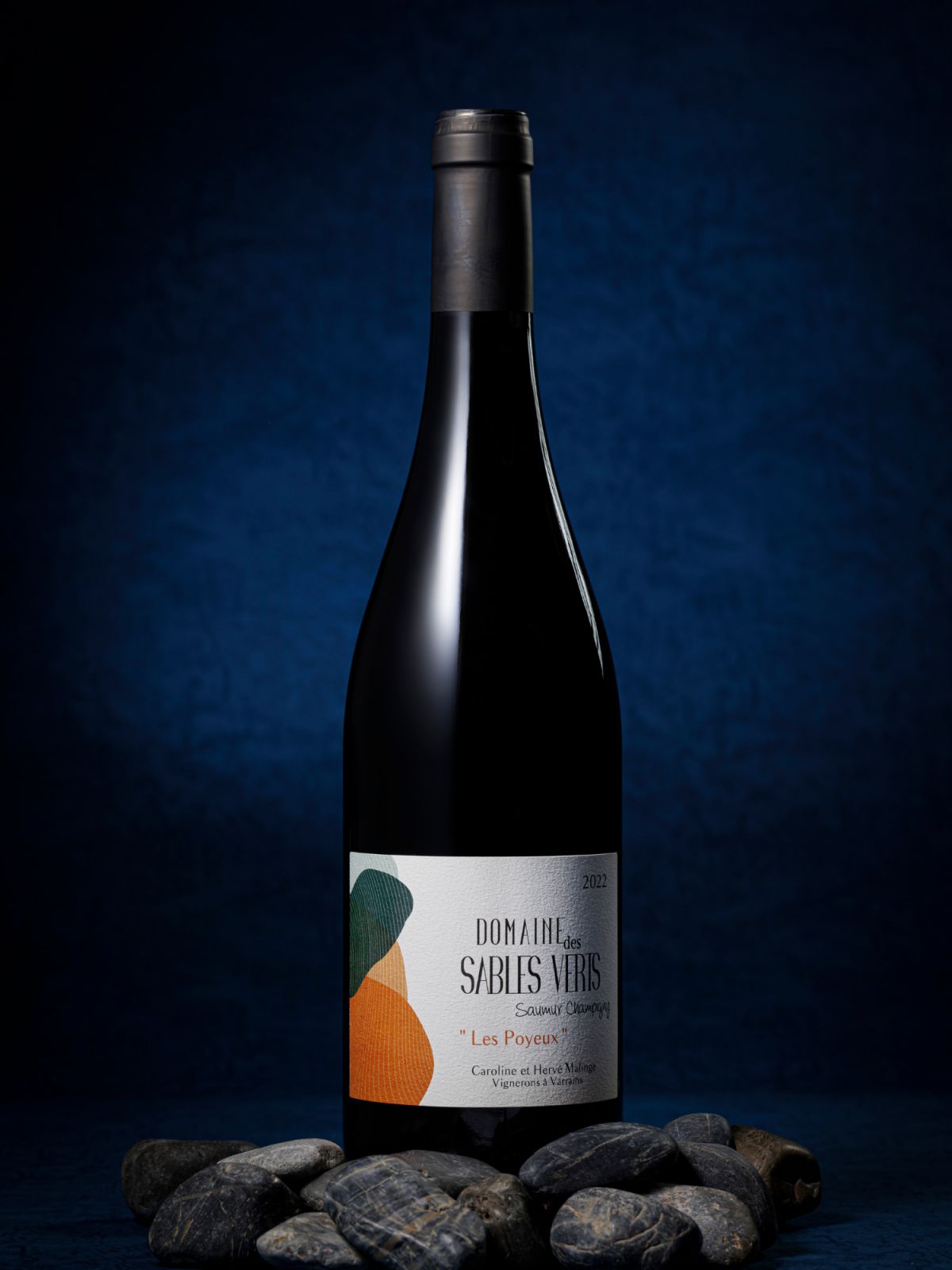 Domaine des Sables Verts Saumur Champigny les Poyeux 2022