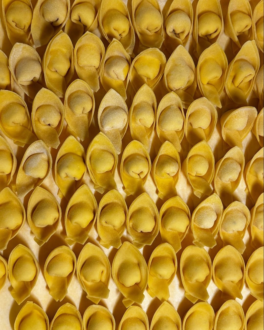 Fresh tortellini (Photo: Instagram / @cantina.pastaevino)